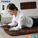 ユアサプライムス ホットマット 一人用 約1畳 ブラウン YGM-50E(BR) ごろ寝マット 洗える 丸洗い 洗濯 ぽかぽかルームマット ホットカーペット 1人用 YGM50EBR YUASA