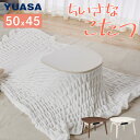 ユアサプライムス こたつテーブル マカロ545F 50×45cm 一人用こたつ 長方形 楕円形 おしゃれ かわいい 小さい ミニこたつ リビングコタツ 家具調こたつ 炬燵 メトロ電気工業 200W ちいさなこたつ YUASA