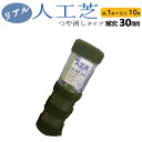 シンセイ リアル人工芝 つや消しタイプ 幅1mx長さ10m 芝丈30mm 【沖縄県配達不可/代引不可】