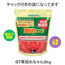 【在庫限り】GT草枯れちゃん2kg 8703691 完全無農薬 除草材 除草剤 日本製 安全 無害 薬を使わない 安心 雑草駆除剤 土壌改良 園芸 ガーデニング...