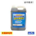 シンセイ 除草剤はや効き 5L 非農耕地用除草剤 希釈タイプ 液体 液剤 速効 早く効く 強力除草剤 根まで枯らす 一年生雑草 多年生雑草 スギナ アワダチソウ...