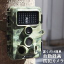 サンコー 置くだけ簡単 トレイル防犯カメラ 乾電池式 夜間撮影 人感センサー 防水防塵 2K撮影 配線工事不要 自動録画 防犯 定点観察 THANKO AUTMTSHNA(3)