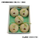 夕張メロン 夕張市農協 共選品 良品 8kg 前後 4玉から7玉 お取り寄せグルメ