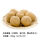 予約 とうや 20kg 前後 Lから2Lサイズ 北海道産 新じゃがいも お取り寄せグルメ 9月中旬ごろよりお届け