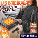 電気毛布 USB フード付き 大きめサイズ 掛け敷き ひざ掛け 電気肩掛け 加熱ショール 電熱ショール 電熱ストール マフラー 大判 冬 ヒーター付きショール ...