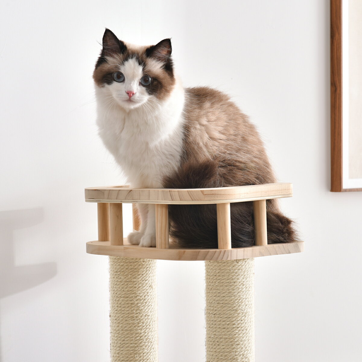 ください キャットタワー 木製 可愛い麻紐 爪とぎボール 猫ベッド 安全安心 ペット用品