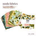 moda チャームパック「Willow-36060PP」カットクロス 約12.7cm角42枚入【RCP】