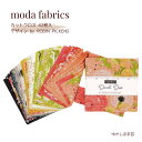 moda チャームパック「Dandi Duo-48750PP」カットクロス 約12.7cm角42枚入