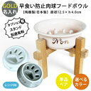 名入れ ゴールド フードボウル 早食い防止 肉球 フードボウル ( 単品 / ペア )全7色 pet182 超最速 スタンド付きセットもあり | フードボール ...