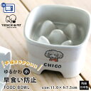 フードボウル 名入れ 手描き 似顔絵 ゆるかわ 早食い防止 高台 【小】 pet121 最速 | フードボール 高さがある 犬 猫 ペット 食器 陶器 日本製 ...