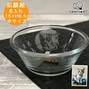 フードボウル 名入れ リアルフォト 似顔絵 彫刻 ガラス ボウル(中)(洋) | フードボール 犬 猫 ペット 食器 日本製 おしゃれ かわいい 餌入れ 餌皿 ...