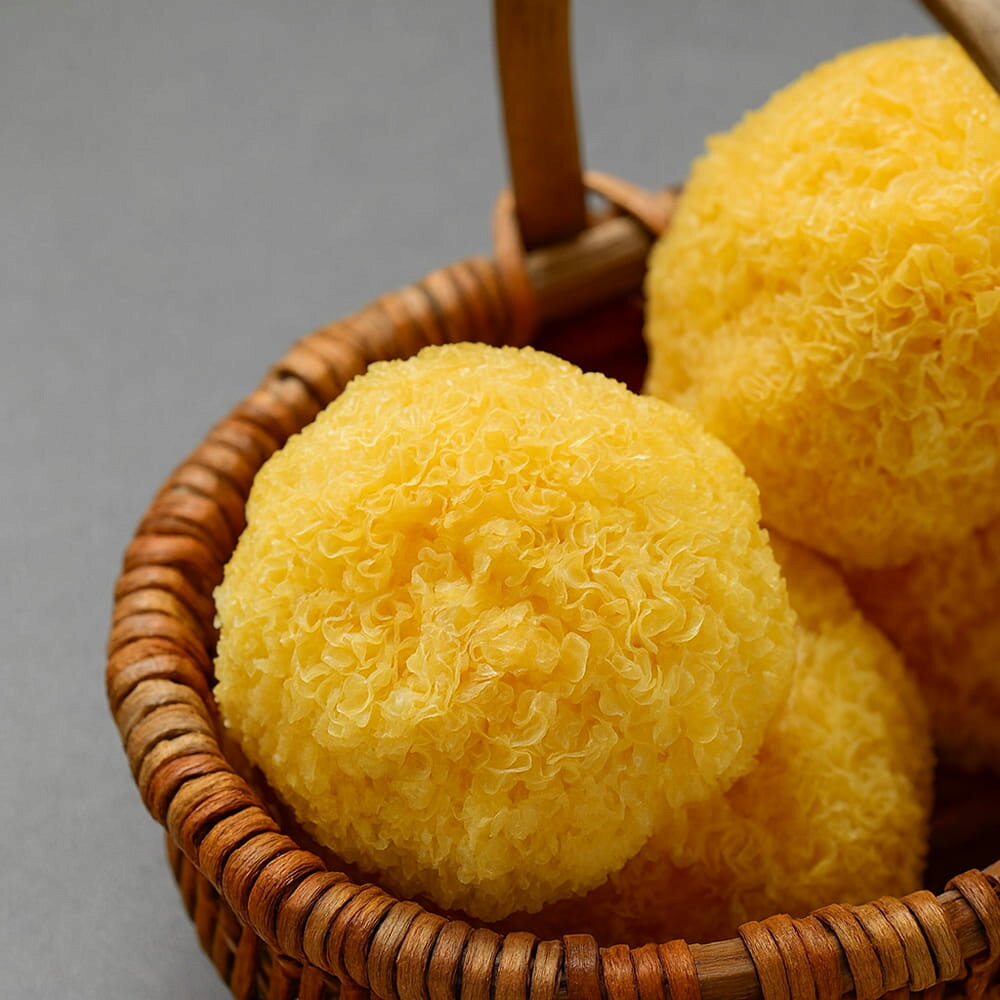 [癒雅膳食] 3株 古田黄金雪耳 農家直仕入 無漂白無添加 丸ごと食べられる 無農薬栽培 食物繊維豊富 薬..