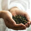 【新茶】台湾茶 台湾代表 銘茶 お茶の王様 梨山高山茶 30g Li-San Organic High Mountain Oolong Tea 特級 烏龍茶