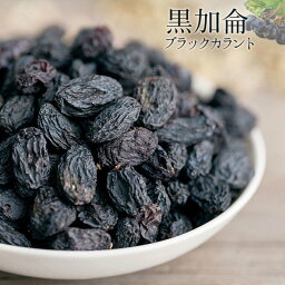 新疆トルファン 特大黒加侖 ブラックカラント 100g 完全無添加 天日干し