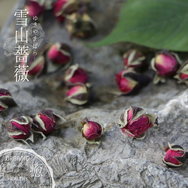 新入荷 特級 雪山薔薇 ゆきやまバラ