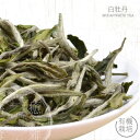 有機茶っ葉使用 白牡丹茶 50g