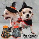 ハロウィン コスプレ コスチューム 犬用 犬 服 犬服 仮装 飾り マント 帽子 帽子付き ヘアアクセサリー ペット 猫 衣服 ペット服 お散歩 お出掛け 秋 ...
