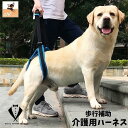 介護用ハーネス 後ろ足用 後足 犬用 ドッグ ペット用品 ベルト 歩行補助 リハビリ サポート 老犬 シニア 高齢 怪我 障害 メッシュ 長さ調節可能