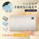 電熱 ハンドウォーマー ハンドマフ 無水式湯たんぽ 2種類給電方法(モバイルバッテリー/USB-Aポート) 持ち運び便利 3段階温度調節【PL保険加入済み製品・安心】