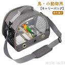 【送料無料】小鳥 お出かけ キャリー ケージ 鳥 持ち運び インコ キャリーケース バッグ 文鳥 鳥かご 外出 バードケージ 通気 お散歩 止まり木付き