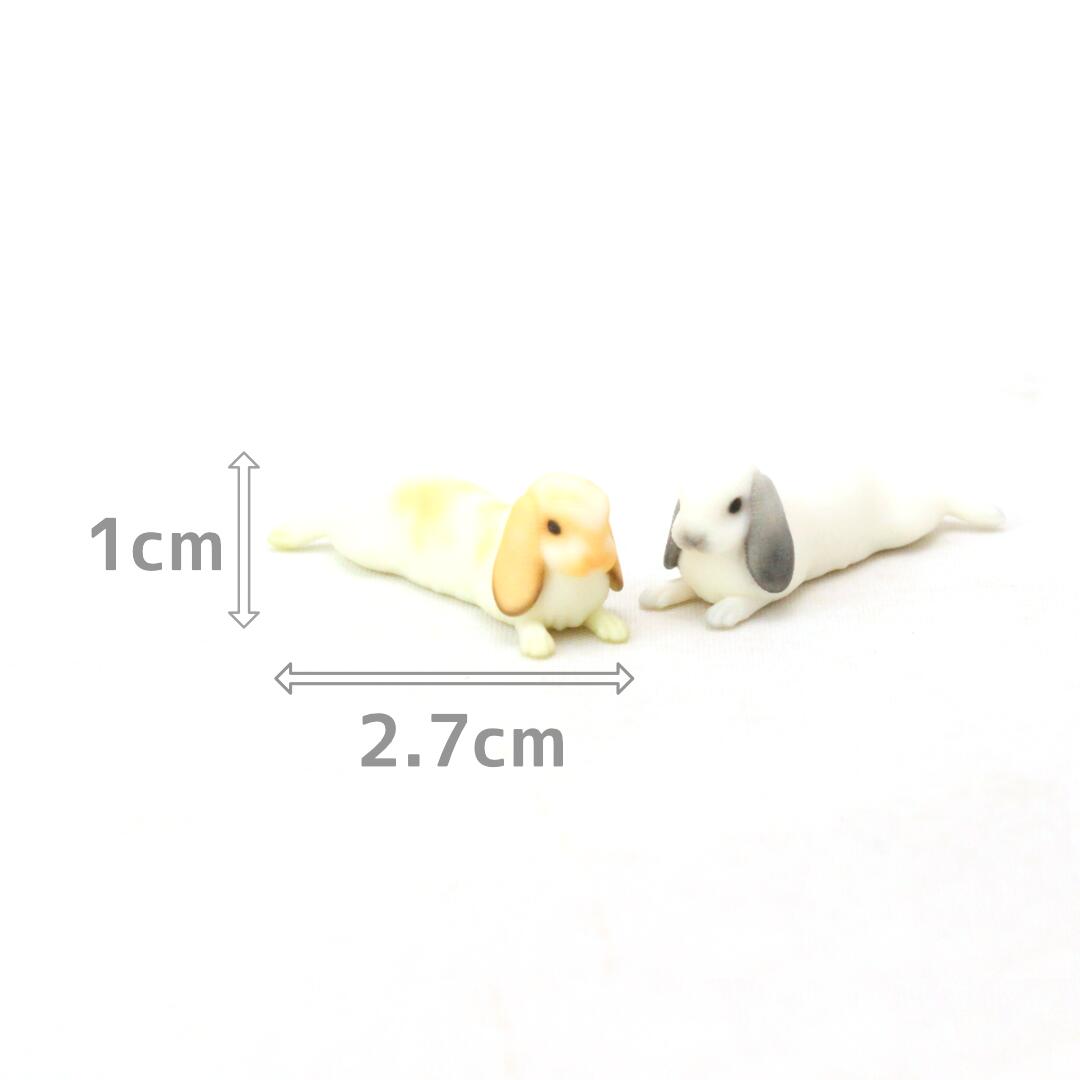 【azuki】Partner 039 s 62 ホーランド ロップ(寸法：幅1.5cm×高1cm×奥行2.7cm)