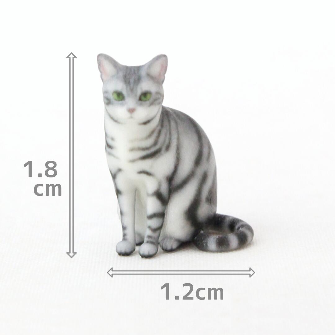 楽天市場】アメリカンショートヘア 猫 ネコ(ホビー)の通販 楽天市場】アメリカンショートヘア 猫 ネコ(ホビー)の通販