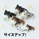 【soramame】Partner's 5 シェットランド・シープドッグ(寸法：幅1.6cm×高2.5cm×奥行2.6cm)