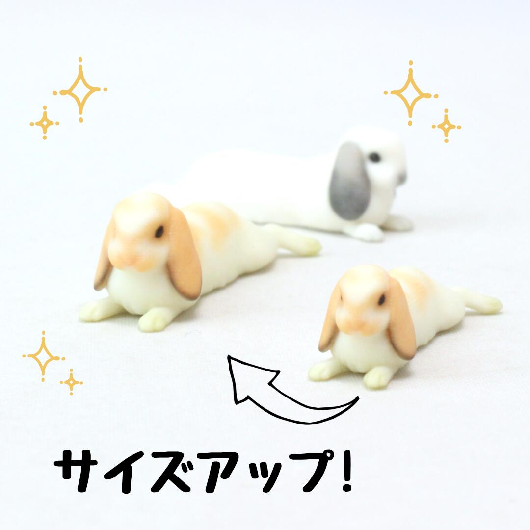 【soramame】Partner's 62 ホーランド・ロップ(寸法：幅1.8cm×高1.2cm×奥行3.3cm)