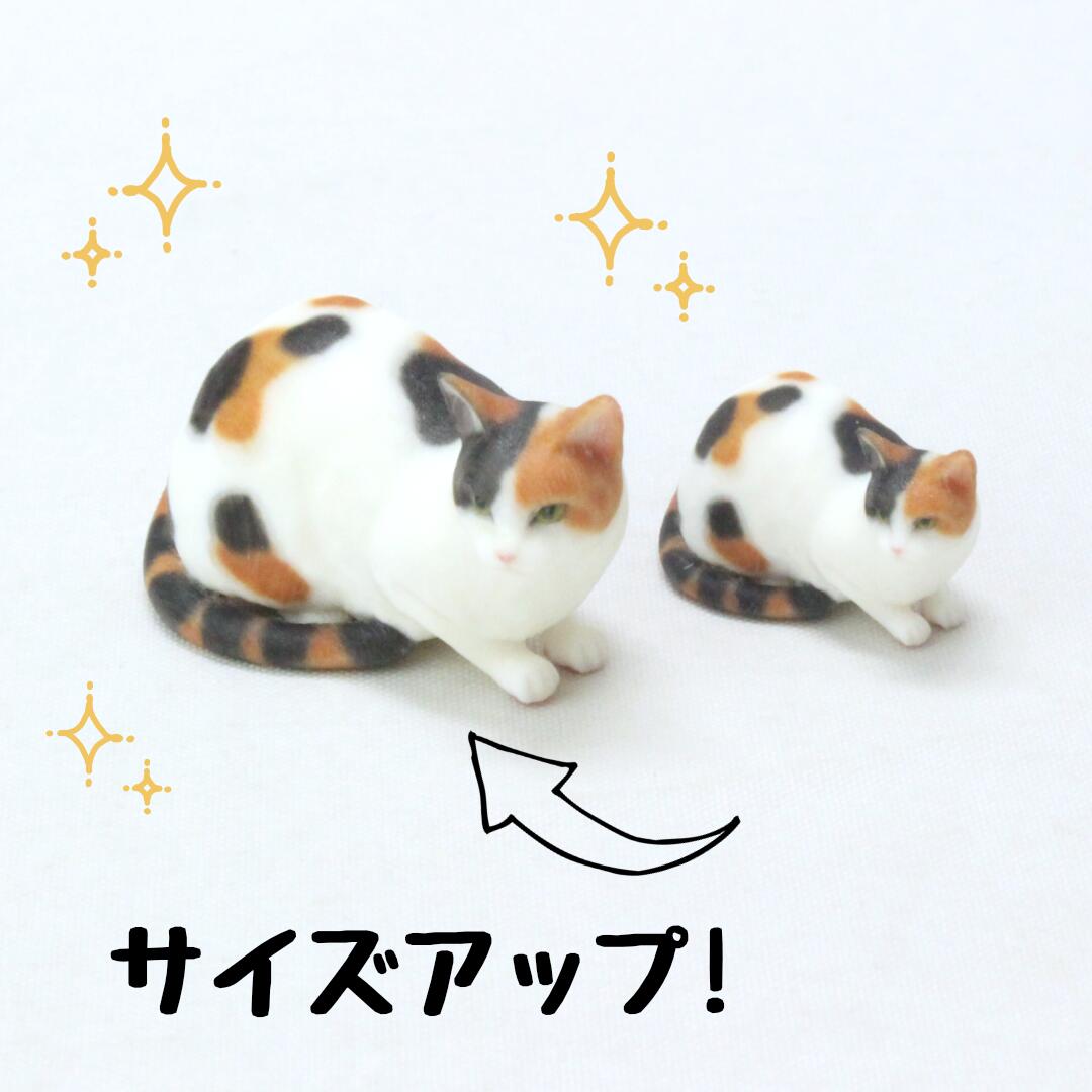 楽天市場】三毛猫（ホビー）の通販