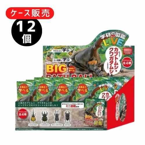 楽天ワクワクSTORE【6/1限定★1/2で最大100％ポイントバック】【12個入りケース売り】バスボール 学研の図鑑ライブ カブトムシ・クワガタBIG【GKN-8-01】ノルコーポレーション お風呂で学べる バスボム キャラクター キッズ おもちゃ 入浴剤 セット 男の子 女の子 お風呂 フィギュア