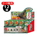 楽天ワクワクSTORE【12個入りケース売り】バスボール 学研の図鑑ライブ カブトムシ・クワガタBIG【GKN-8-01】ノルコーポレーション お風呂で学べる バスボム キャラクター キッズ おもちゃ 入浴剤 セット 男の子 女の子 お風呂 フィギュア マスコット お風呂遊び