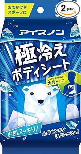 2個セット アイスノン 極冷えボディーシート 30枚入 白元アース 汗拭きシート 制汗