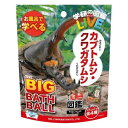 バスボール 学研の図鑑ライブ カブトムシ・クワガタBIGノルコーポレーション お風呂で学べる バスボム キャラクター キッズ おもちゃ 入浴剤 セット 男の子 女の子 お風呂 フィギュア マスコット お風呂遊び