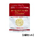 ターミナリアファインプレミアム 120粒 60日分 脂肪や糖の吸収を抑える premium 機能性表示食品 機能性関与成分 健康食品 サプリメント 中性脂肪 血糖値 健康回復 ダイエット