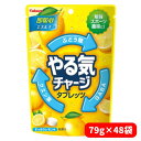 【48袋セット/ケース販売】カバヤ食品 やる気チャージタブレッツ 79g×48袋 熱中症対策 タブレット グッズ 真夏日 運動部 部活 塩分補給 クエン酸