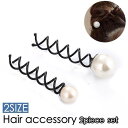 かんざし 2個セット ヘアコーム 簪 ヘアピン ヘアスティック レディース 女性 ヘアアクセサリー 髪留め 髪飾り ヘアアレンジ フェイクパール パー