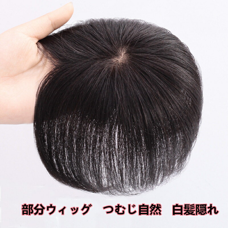ウィッグ ヘアピース ミニサイズ かつら ポイントウィッグ 人毛100% 白髪隠れ 増毛 簡単 自然 引き抜き式 17CM