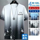 Tシャツ メンズ 半袖 夏服 プルオーバー トップス ゆったり カジュアル 夏サマー お兄系 大きいサイズ 薄手 グラデーション 20代
