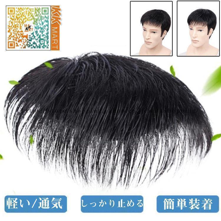 人毛100% メンズウィッグ フルウィッグ 男性用ウイッグ 自然 ウイッグ エクステンション かつら イメチェン
