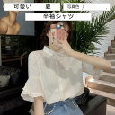 半袖シャツ レディース シャツブラウス 無地 ポロ襟 前開き トップス カジュアル ボタン付き ゆったり 可愛い 21年夏新作 きれいめ おしゃれ