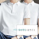 シャツ 2枚セット メンズ トップス 半袖tシャツ トップス 半袖tシャツ ゴルフシャツ ユニフォーム 襟付き 夏服 夏 吸湿通気 シャツ スポーツ カジュアル