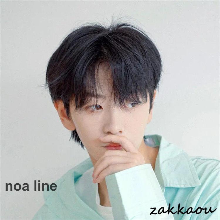 メンズウィッグ フルウィッグ 男性用ウイッグ 自然 ウイッグ エクステンション かつら イメチェン