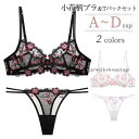 ブラジャー ショーツ セット シースルー Tバック ノーパッド ノンパテッド レディース インナー 透け ランジェリー ワイヤー付き 3/4カップ 2色 ロマンチック