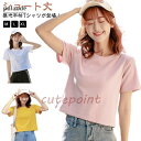 レディース 半袖 カットソー tシャツ 無地 クロップド丈tシャツ トップス 半袖tシャツ ショート丈 クロップド丈tシャツ 脚長効果 7色 シンプル