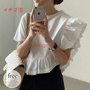 Tシャツ ブラウス トップス レディース 大きいサイズ 半袖 ラウンドネック アシンメトリー フリル スタイリッシュ ワンカラー 合わせやすい お出かけ
