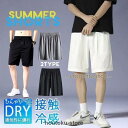 ハーフパンツ メンズ ショートパンツ 夏 サーフパンツ メッシュ 速乾 半ズボン ストレッチ ボトムス ゴムウエスト 通気性 涼しい