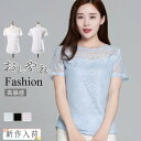 ブラウス 総レース 半袖 Tシャツ レディース カットソー 透かし彫り トップス インナー 無地 高級感 薄手 着痩せ 通気 カジュアル 通勤 普段着
