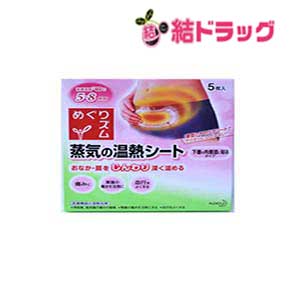 めぐりズム 蒸気の温熱シート 下着の内側面に貼るタイプ 5枚入