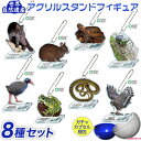【沖縄県産品】【在庫限り】世界自然遺産 アクリルスタンドフィギュア 全8種 ガチャ ネイチャーテクニカラー/【徹底セール】