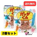 【2個セット】オキハム ガッツくん(バラ) 15g/沖縄お土産 沖縄の味 簡単料理 お買い得